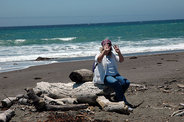 Southern Moonstone Beach, Thursday morning 031.JPG